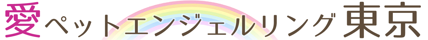 東京都の訪問ペット火葬は『愛ペットエンジェルリング東京』